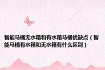 智能马桶无水箱和有水箱马桶优缺点（智能马桶有水箱和无水箱有什么区别）