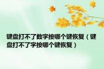 键盘打不了数字按哪个键恢复（键盘打不了字按哪个键恢复）