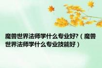 魔兽世界法师学什么专业好?（魔兽世界法师学什么专业技能好）