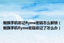 魅族手机忘记flyme密码怎么解锁（魅族手机flyme密码忘记了怎么办）