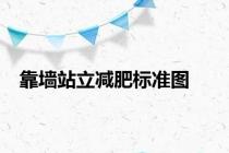 靠墙站立减肥标准图
