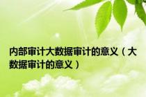 内部审计大数据审计的意义（大数据审计的意义）