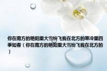你在南方的艳阳里大雪纷飞我在北方的寒冷里四季如春（你在南方的艳阳里大雪纷飞我在北方的）