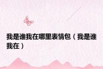 我是谁我在哪里表情包（我是谁我在）