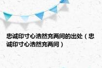 忠诚印寸心浩然充两间的出处（忠诚印寸心浩然充两间）