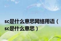 sc是什么意思网络用语（sc是什么意思）