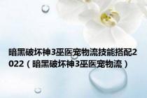 暗黑破坏神3巫医宠物流技能搭配2022（暗黑破坏神3巫医宠物流）