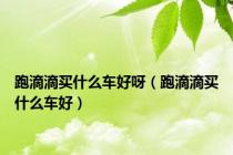 跑滴滴买什么车好呀（跑滴滴买什么车好）