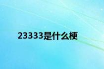 23333是什么梗
