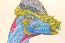 新描述的圆顶头恐龙物种可能带有刚毛头饰
