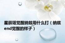 星辰塔觉醒纳兹用什么打（纳兹end觉醒的样子）