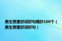 男生贾里好词好句摘抄100个（男生贾里好词好句）