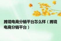 跨境电商分销平台怎么样（跨境电商分销平台）