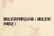 逗比王妃升职记小说（逗比王妃升职记）