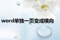 word单独一页变成横向