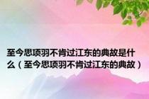 至今思项羽不肯过江东的典故是什么（至今思项羽不肯过江东的典故）