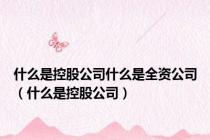 什么是控股公司什么是全资公司（什么是控股公司）