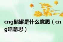 cng储罐是什么意思（cng啥意思）