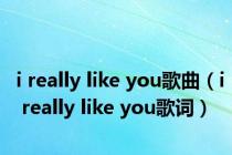 i really like you歌曲（i really like you歌词）