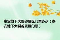 泰安地下大裂谷景区门票多少（泰安地下大裂谷景区门票）