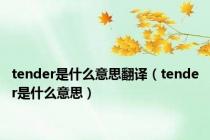 tender是什么意思翻译（tender是什么意思）