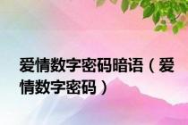 爱情数字密码暗语（爱情数字密码）