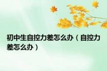 初中生自控力差怎么办（自控力差怎么办）