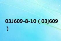 03J609-8-10（03j609）