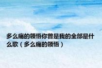 多么痛的领悟你曾是我的全部是什么歌（多么痛的领悟）