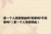 爱一个人需要理由吗?需要吗?不需要吗?（爱一个人需要理由）