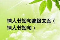 情人节短句高级文案（情人节短句）