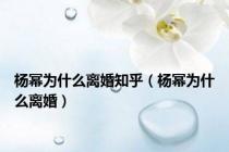 杨幂为什么离婚知乎（杨幂为什么离婚）