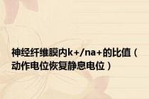 神经纤维膜内k+/na+的比值（动作电位恢复静息电位）
