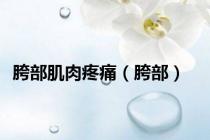 胯部肌肉疼痛（胯部）