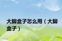 大脚盒子怎么用（大脚盒子）