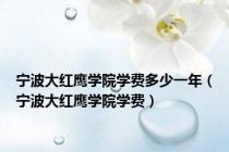宁波大红鹰学院学费多少一年（宁波大红鹰学院学费）