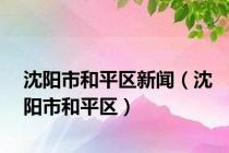 沈阳市和平区新闻（沈阳市和平区）