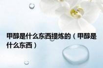 甲醇是什么东西提炼的（甲醇是什么东西）