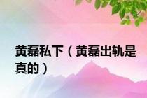黄磊私下（黄磊出轨是真的）