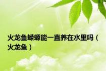火龙鱼蝾螈能一直养在水里吗（火龙鱼）