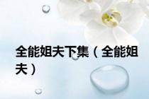全能姐夫下集（全能姐夫）