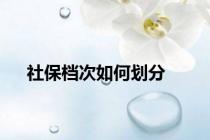 社保档次如何划分