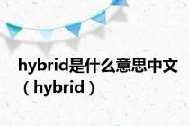 hybrid是什么意思中文（hybrid）