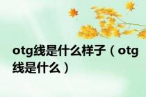 otg线是什么样子（otg线是什么）