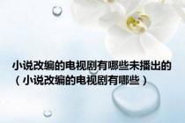 小说改编的电视剧有哪些未播出的（小说改编的电视剧有哪些）