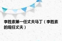 李胜素第一任丈夫马丁（李胜素的现任丈夫）