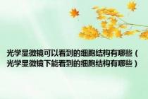 光学显微镜可以看到的细胞结构有哪些（光学显微镜下能看到的细胞结构有哪些）