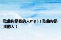 歌曲你是我的人mp3（歌曲你是我的人）