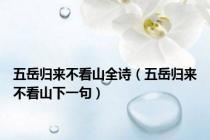 五岳归来不看山全诗（五岳归来不看山下一句）