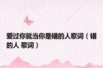 爱过你就当你是错的人歌词（错的人 歌词）